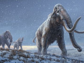 Clonar o passado? Conheça 6 animais extintos que os cientistas buscam reviver
