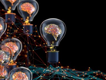 A neurociência e as festas de fim de ano