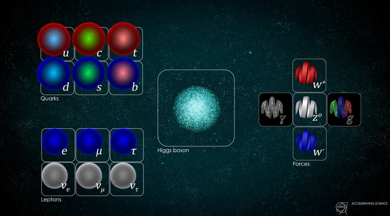A imagem mostra uma representação das partículas fundamentais.