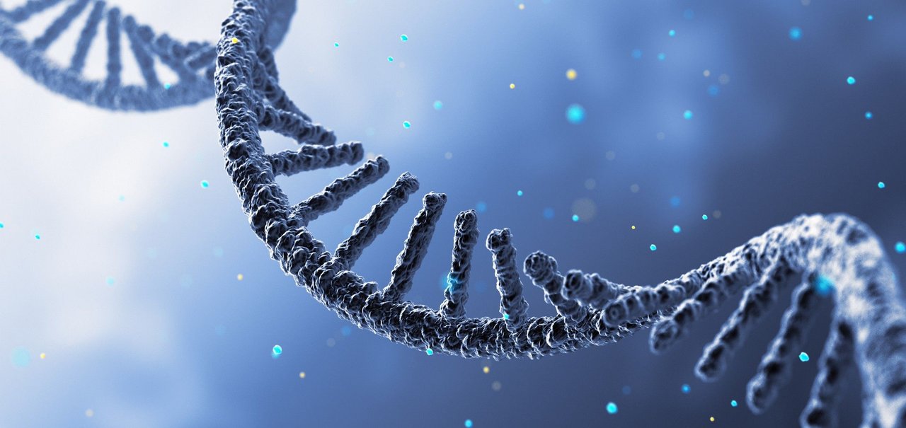 Qual a diferença do DNA e do RNA?