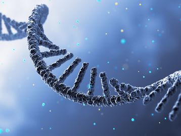 Qual a diferença do DNA e do RNA?
