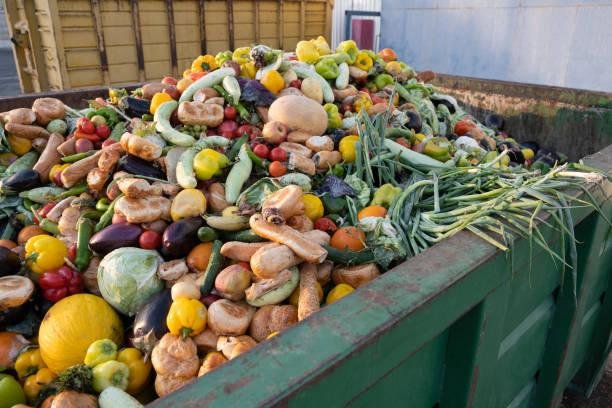 O projeto ajuda a salvar alimentos de indústrias e supermercados que seriam jogados no lixo. (Imagem: Getty Images/Reprodução)