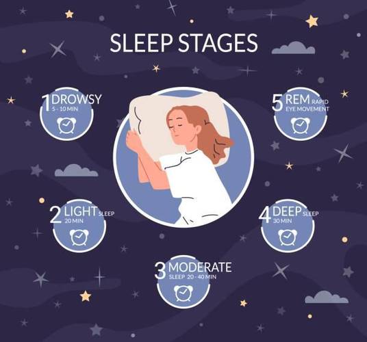 O sono é dividido em estágios de maior e menor atividade neuronal, sendo conhecidas como sono Não-REM, que dura a maior parte do tempo que dormimos, e o sono REM, onde as memórias são consolidadas. Fonte: GettyImages.
