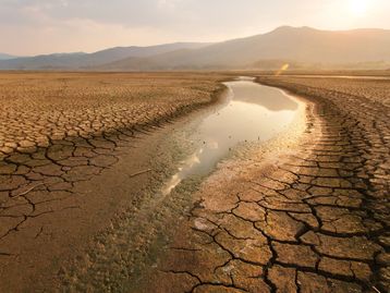 2024 foi um ano de alerta: o que aprendemos com os extremos climáticos?