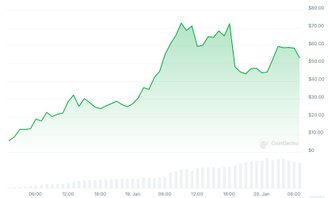 A volatilidade da $TRUMP desde a criação, dois dias atrás. (Imagem: CoinGecko/Reprodução)