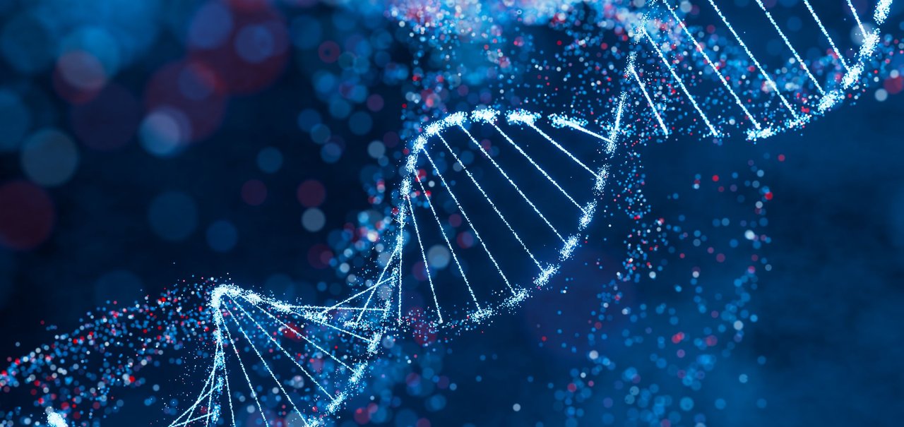 Como o teste de DNA comprova uma relação familiar?