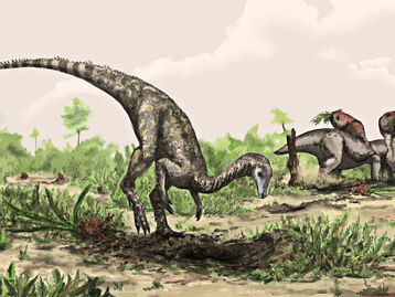 Primeiros dinossauros podem ter surgido na Amazônia, diz estudo