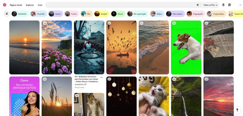 Procure pelo vídeo dentro do Pinterest