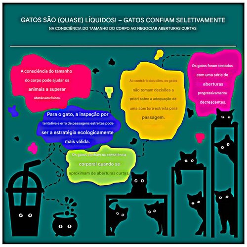 gato-liquido.jpeg