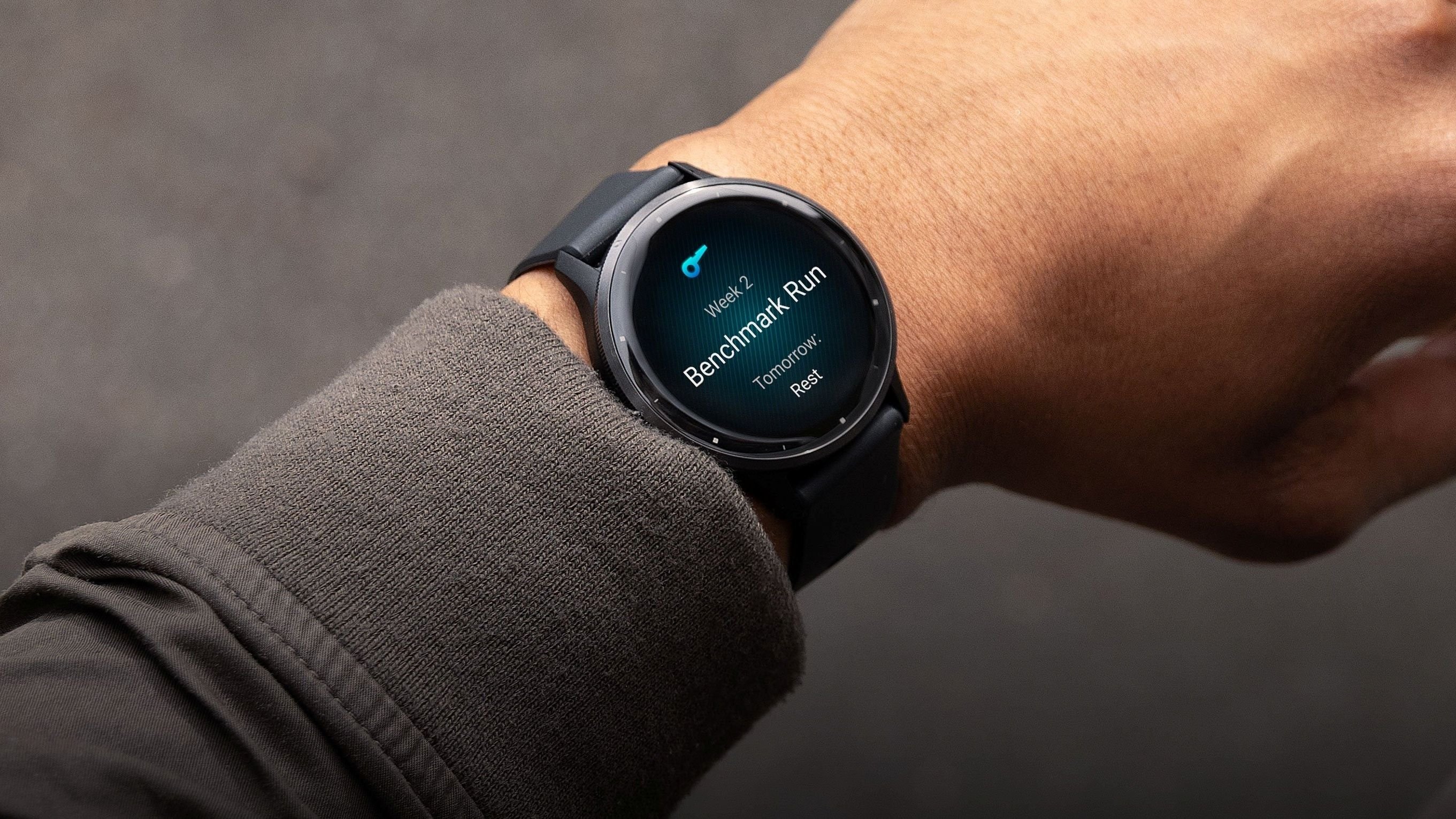 Imagem de Smartwatches da Garmin param de funcionar com ‘triângulo azul da morte’