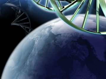 Há uma lógica fundamental para a vida?