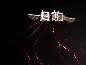 Cientistas criam insetos robóticos que podem até ajudar na polinização