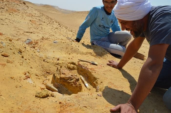 Low-Res_Prof. Sallam, the senior author and a Sallam Lab team member during the discovery expedition.JPG