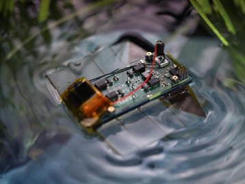 Minirrobô do tamanho de um cartão de crédito monitora ecossistema aquáticos
