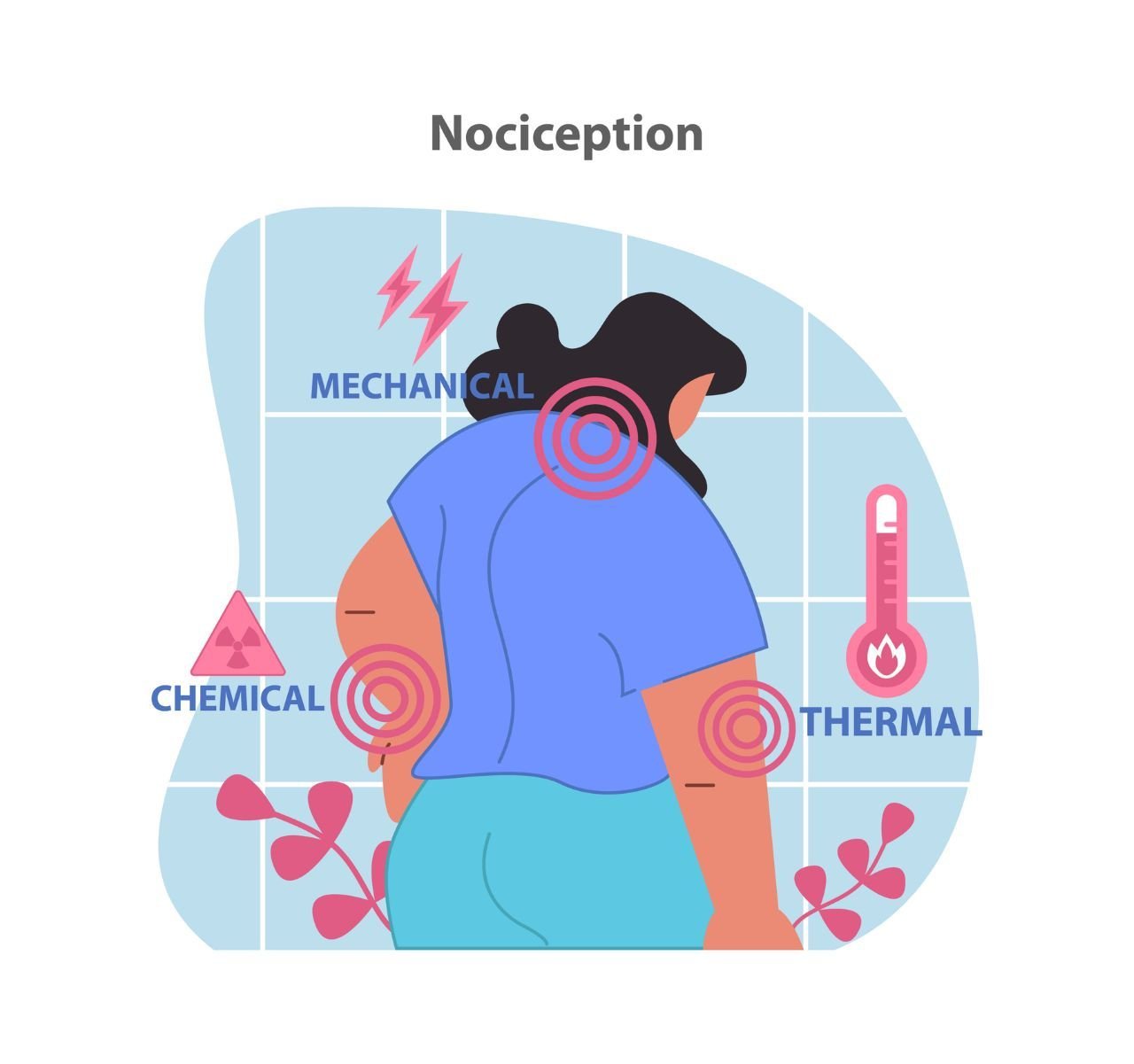 ilustração-de-como-funciona-a-comunicação-do-corpo-humano-com-o-cerebro.jpg