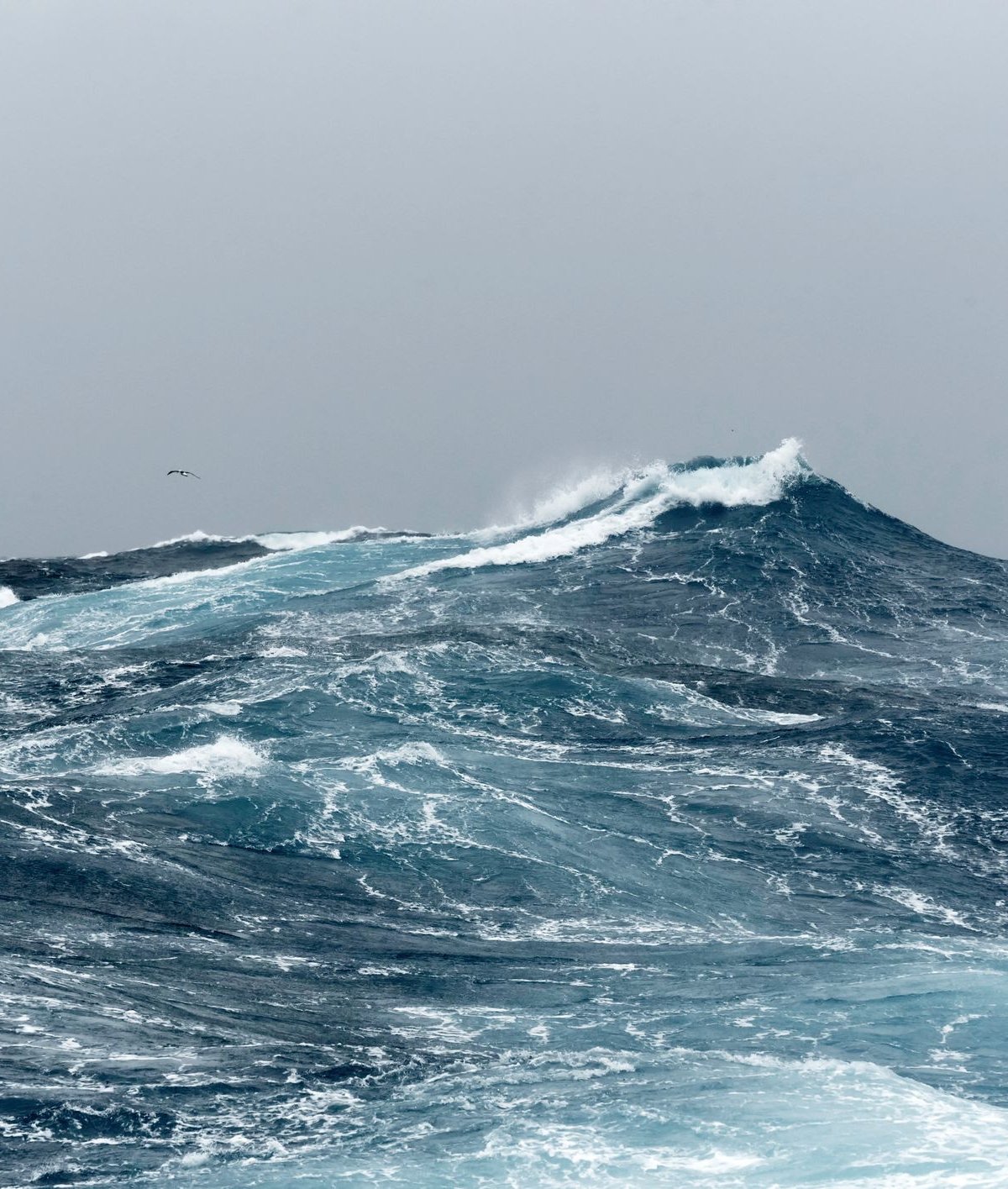 Colapso da corrente do Oceano Atlântico pode acontecer neste século? 