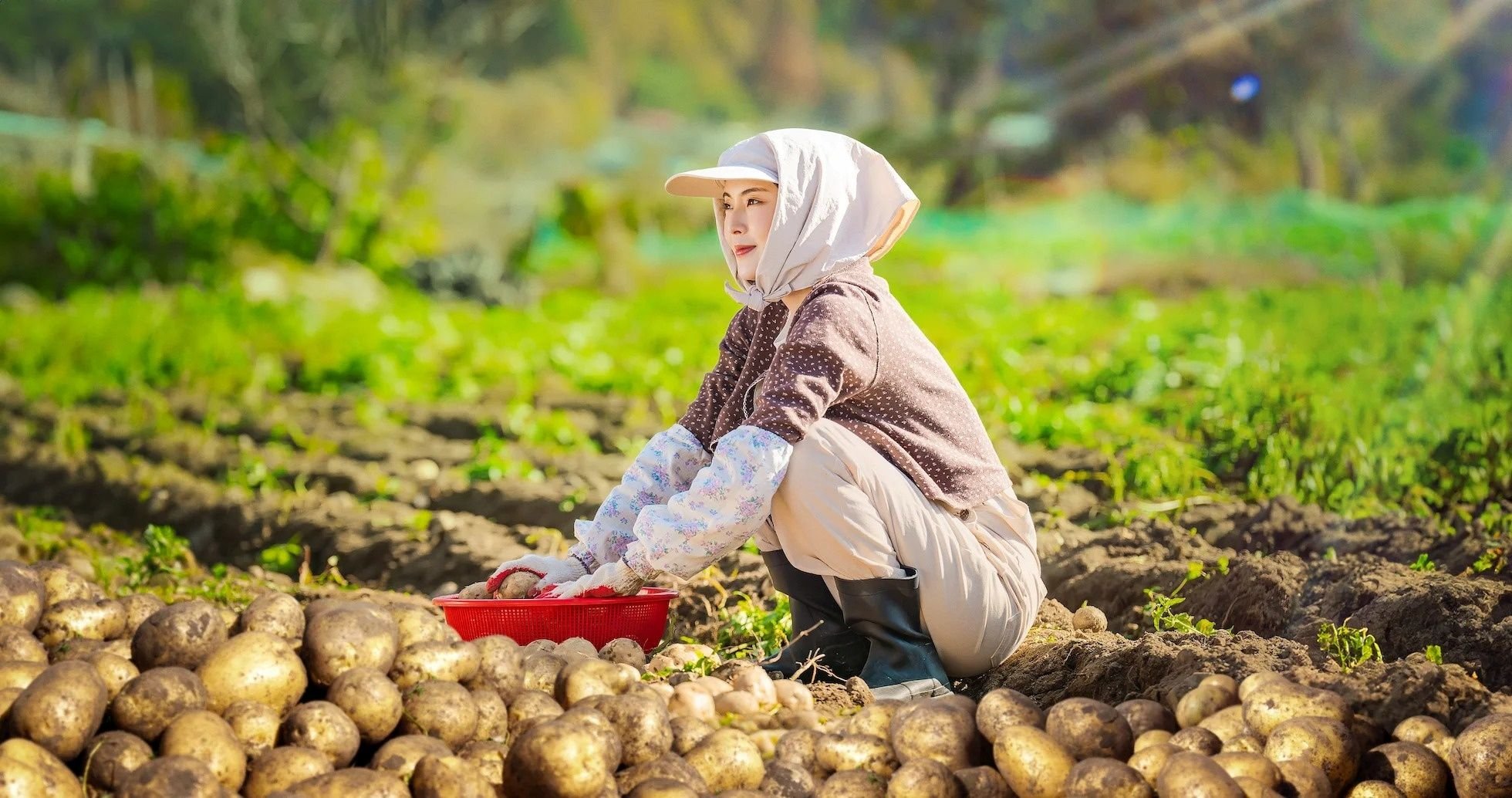 Amor-Batatas-Calendário-Episódios-Netflix-02.jpg