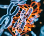 A herança genética do trauma: estudo revela o impacto na violência no DNA