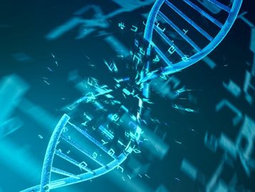 A herança genética do trauma: estudo revela o impacto na violência no DNA