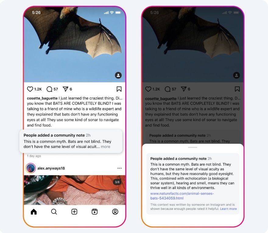 Uma postagem no Instagram sobre morcegos sinalizada como imprecisa e complementada com uma Nota da Comunidade.