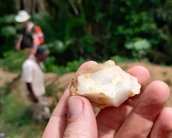Primeiros humanos viveram em florestas tropicais há 150 mil anos, diz estudo