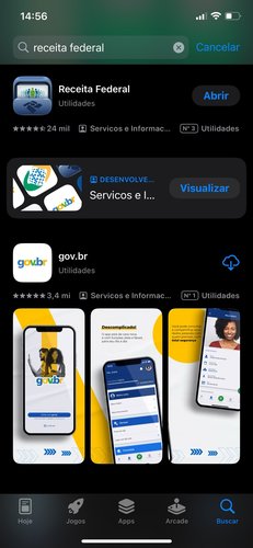 Print da página do iOS aberta no novo app da Receita Federal para IRPF 2025.
