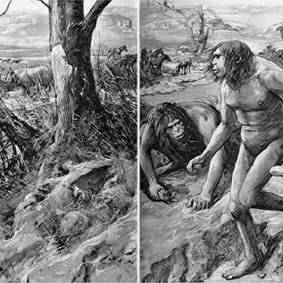 Imagem de Linhagem humana desconhecida pode ter ligado Homo sapiens e neandertais