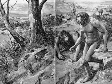 Linhagem humana desconhecida pode ter ligado Homo sapiens e neandertais