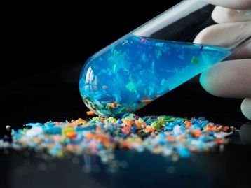 A perigosa conexão entre os microplásticos e as superbactérias