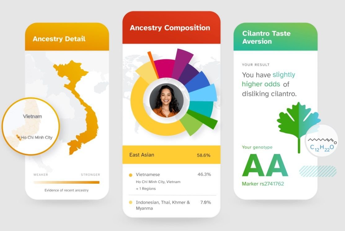 Três telas de celular mostrando resultados de um teste genético de ancestralidade a partir do DNA