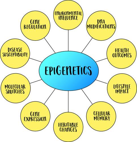 grafico-ilustra-conceito-de-epigenetica.jpg