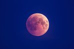 Imagem de Como foi a Lua Rosa que iluminou os céus no final de semana? Veja imagens!