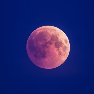 Imagem de Como foi a Lua Rosa que iluminou os céus no final de semana? Veja imagens!