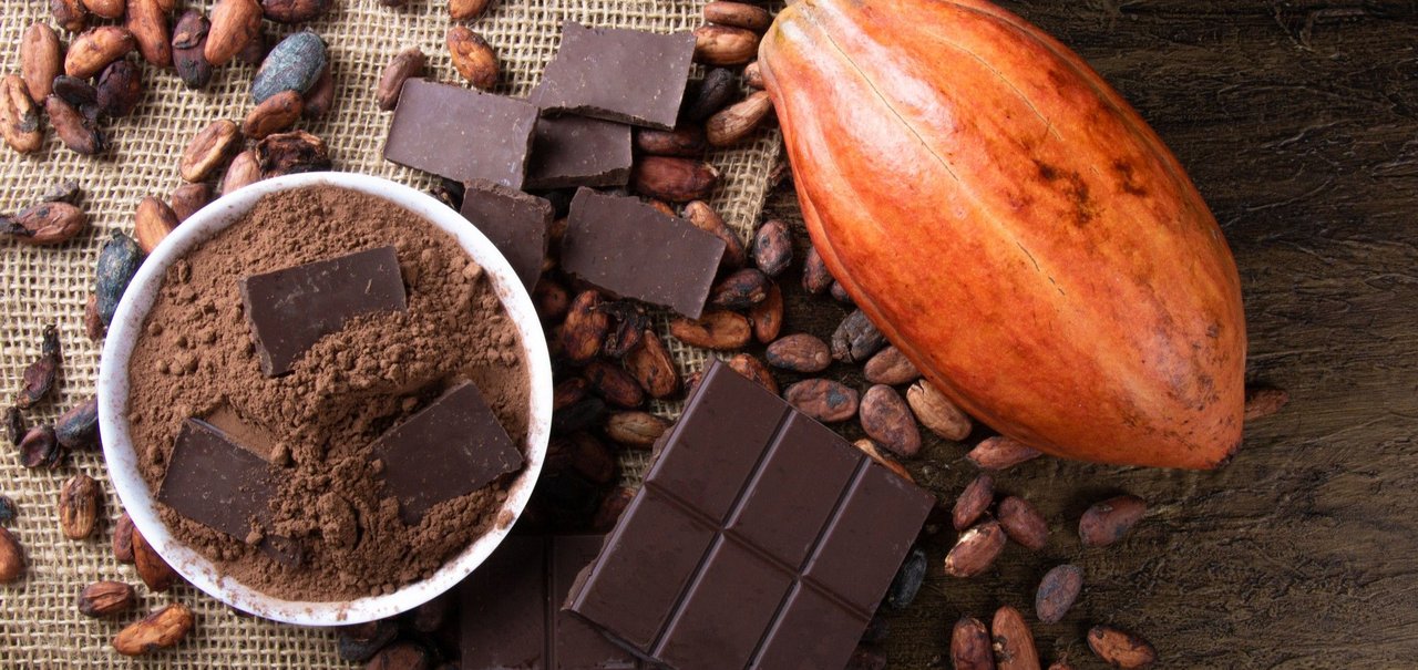 Fim do chocolate? Os esforços da ciência para evitar a extinção do cacau