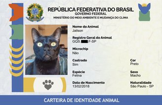SinPatinhas: a nova ferramenta do governo para você registrar seus pets - TecMundo