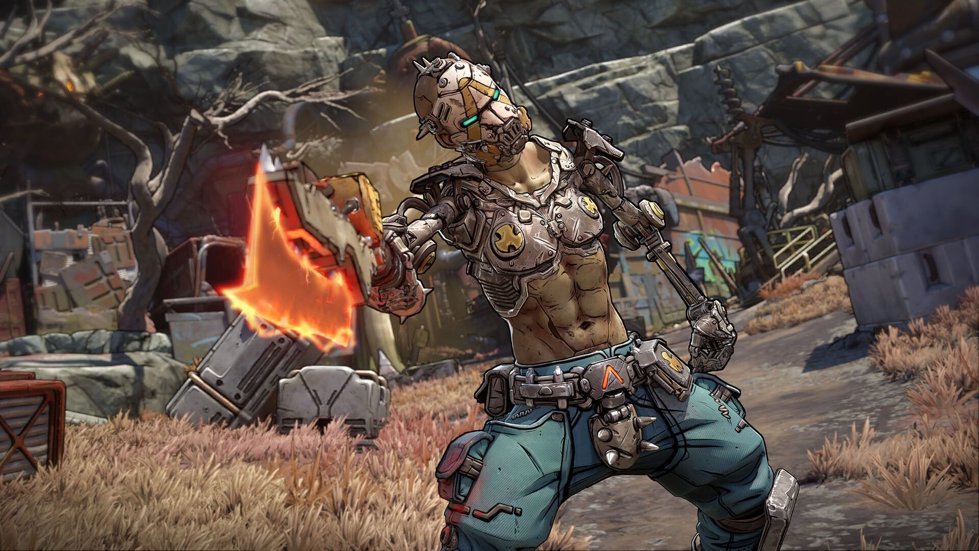Borderlands 4.jpg