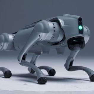 Imagem de Startup apresenta cão-robô com IA que 'aprende igual aos humanos'