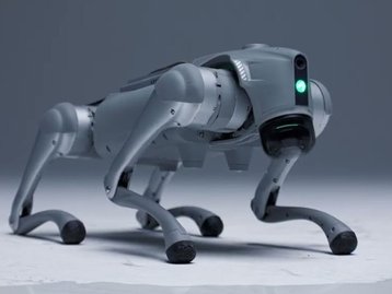 Startup apresenta cão-robô com IA que 'aprende igual aos humanos'