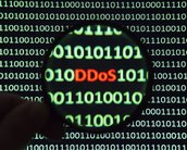 'Como termina a ajuda ao regime de Kiev': municípios dos Países Baixos são atacados por hackers russos