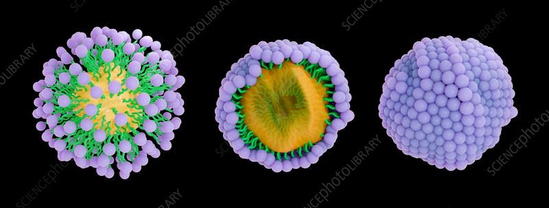 F0425978-Soap_molecules_capturing_dirt_within_micelles,_illustration.jpg