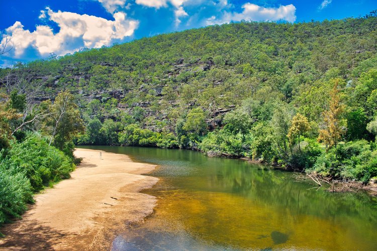 foto-do- Parque-Nacional-Wollem-na-Astrália.jpg