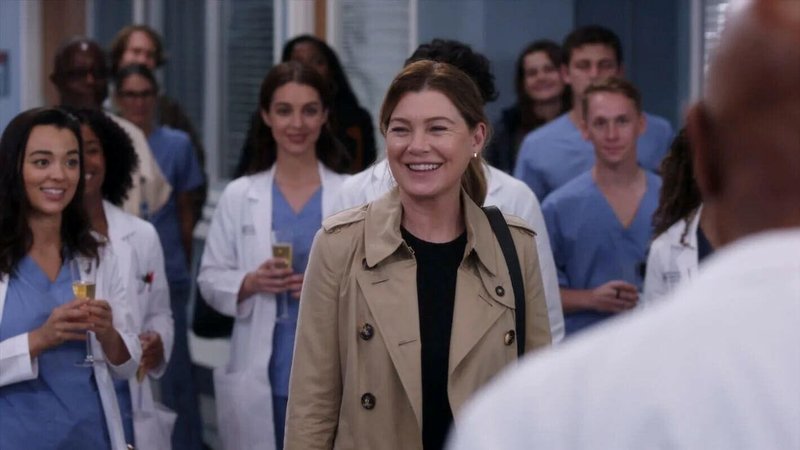 Disney-Vestibular-Greys-Anatomy-Maior-Fa-01.jpg