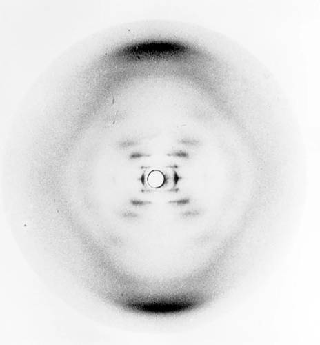 Difração-de-raios-X-do-DNA-B-de-Franklin e Gosling-conhecida-como-Fotografia-51.jpg