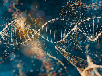 O que é DNA lixo e por que ele intriga a ciência