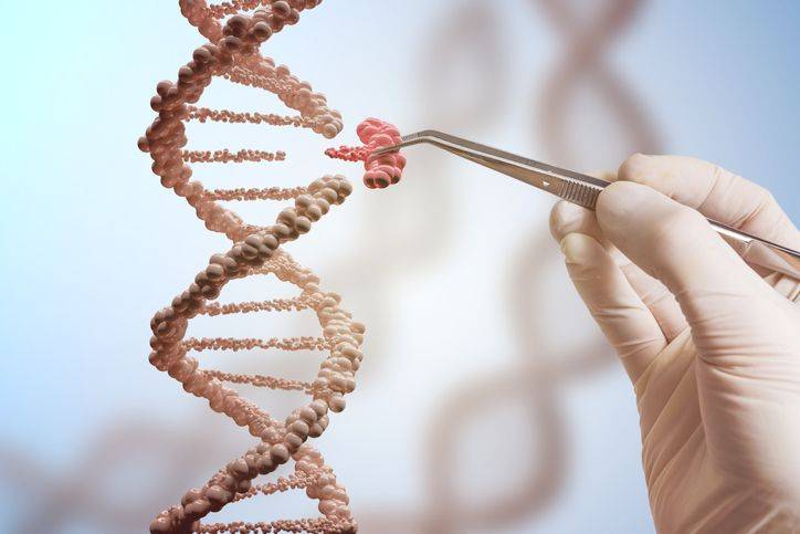 dna-lixo-o-que-e-3.jpg