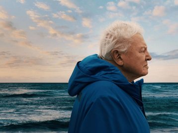 Novo filme da Disney mostra imensidão e fragilidade dos mares: Conheça Oceanos com David Attenborough