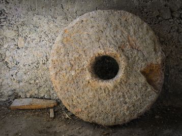 Quem inventou a roda? Algoritmo simula um “giro” pelo passado para descobrir