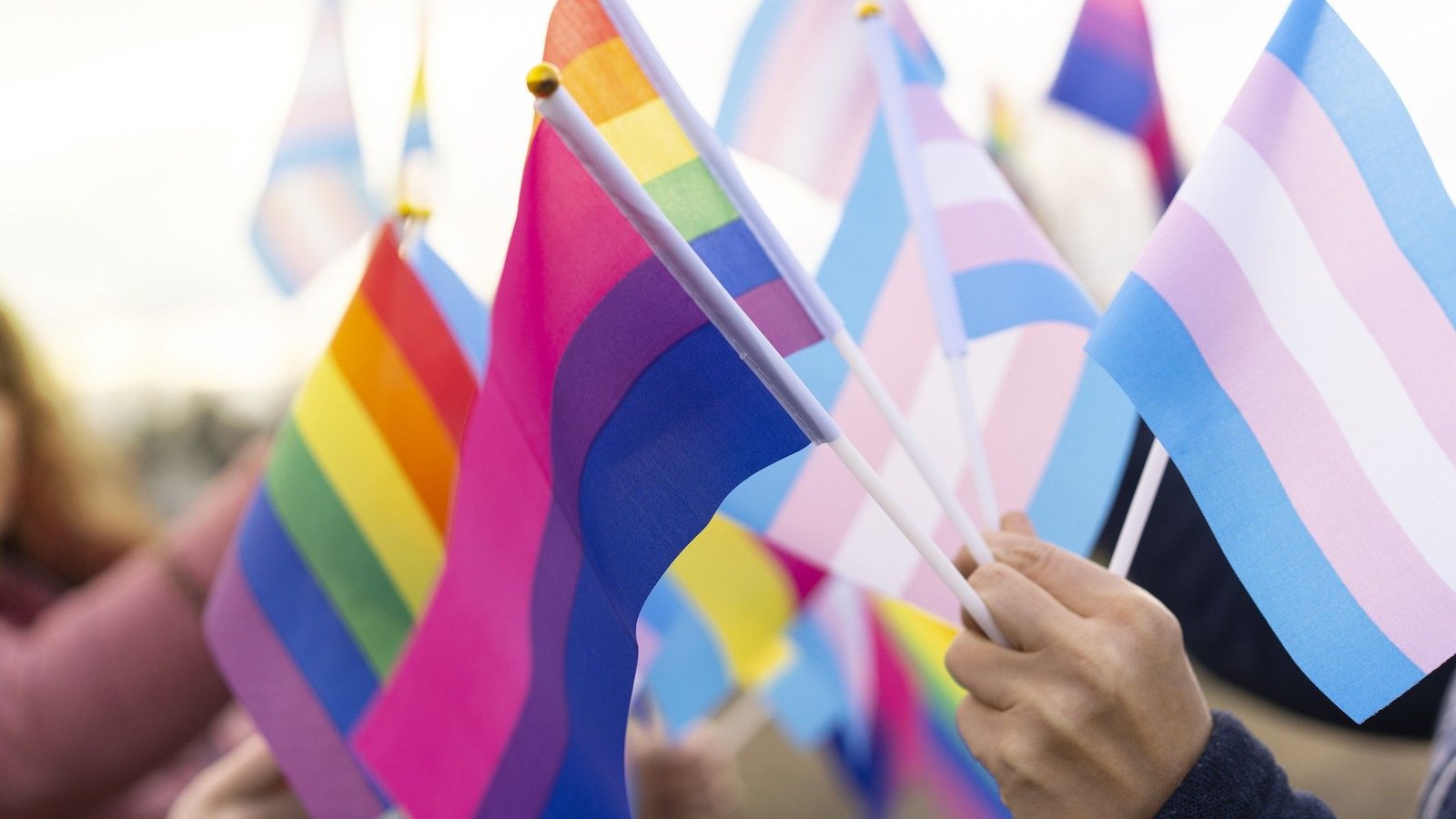 Inovação com identidade: a contribuição da comunidade LGBTQIA+ na tecnologia