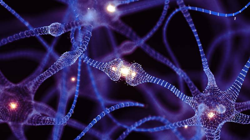 a-ilustração-apresenta-as-conexoes-de-neuronios-no-cerebro