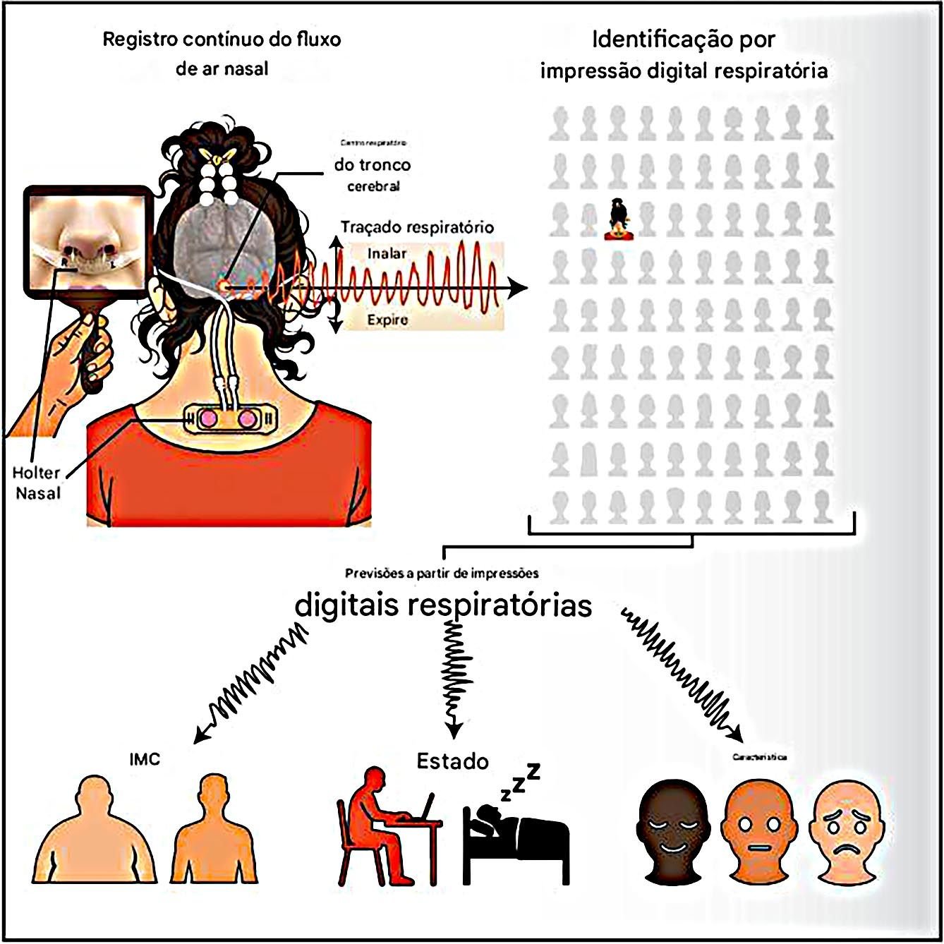 Cada pessoa tem uma “impressão digital respiratória” única, diz estudo Cada pessoa tem uma “impressão digital respiratória” única, diz estudo
